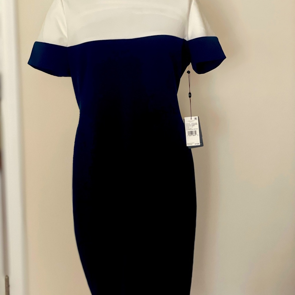 Adrianna Papelle Dress